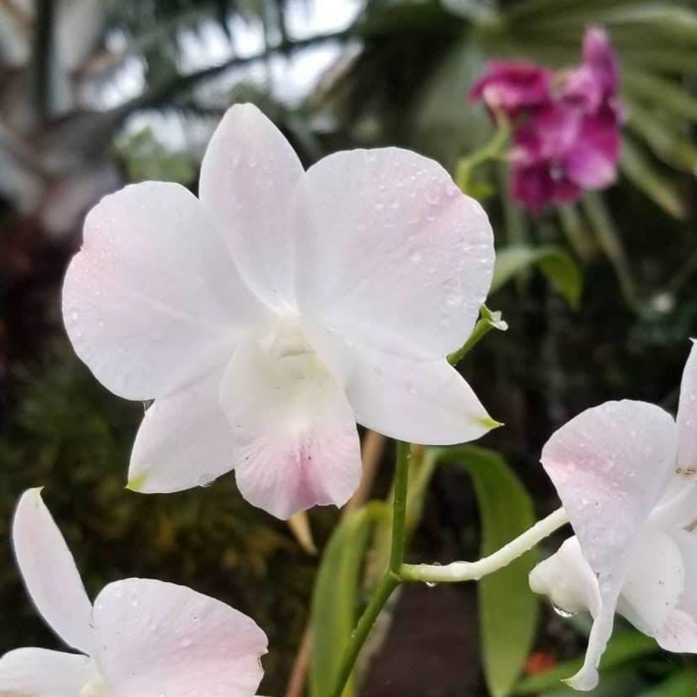 Opening my closet soon...follow me:)